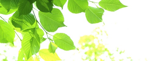 �W�����\�����[�������i�[ 8.1T�̔��T�C�g��